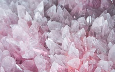 Prendre position et rayonner