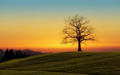 Le temps des forces en action