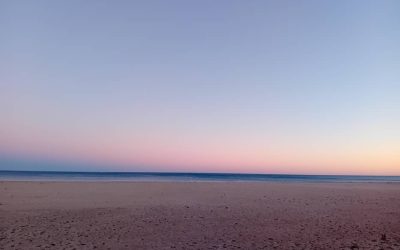 La plus extraordinaire expérience d&rsquo;évolution