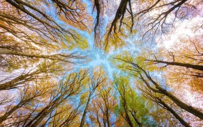 La nécessité de monter en vibration